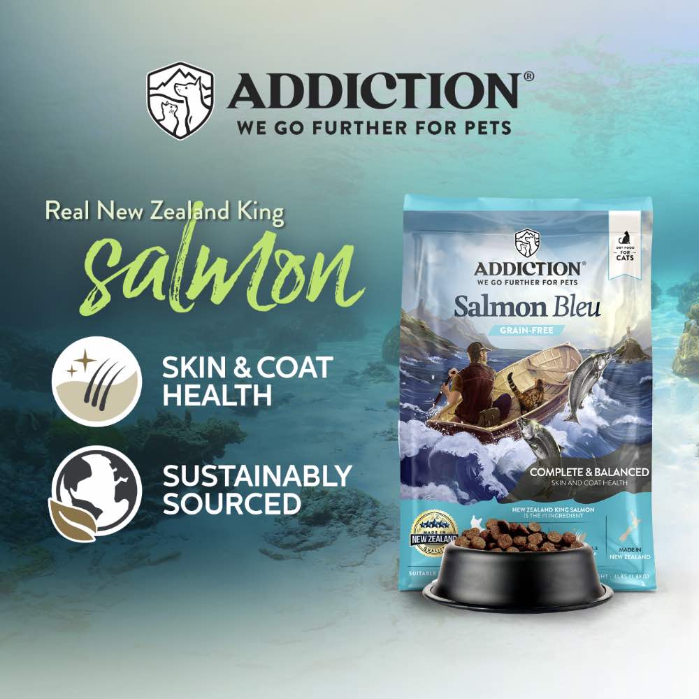 Addiction Salmon Bleu Grain-Free Dry Cat Food 4lb