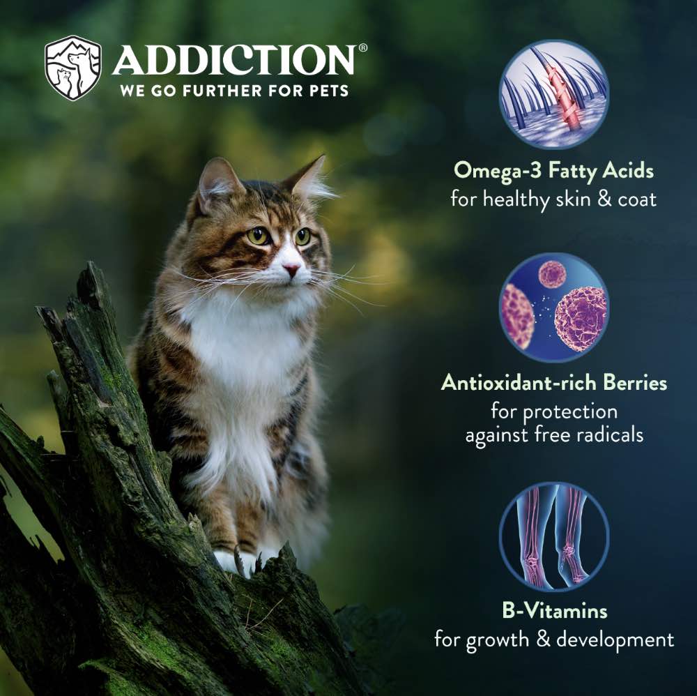 Addiction Salmon Bleu Grain-Free Dry Cat Food 4lb
