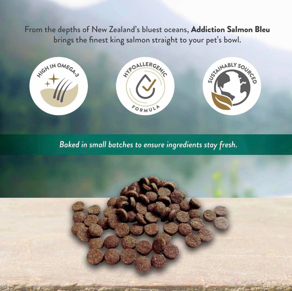 Addiction Salmon Bleu Grain-Free Dry Cat Food 4lb