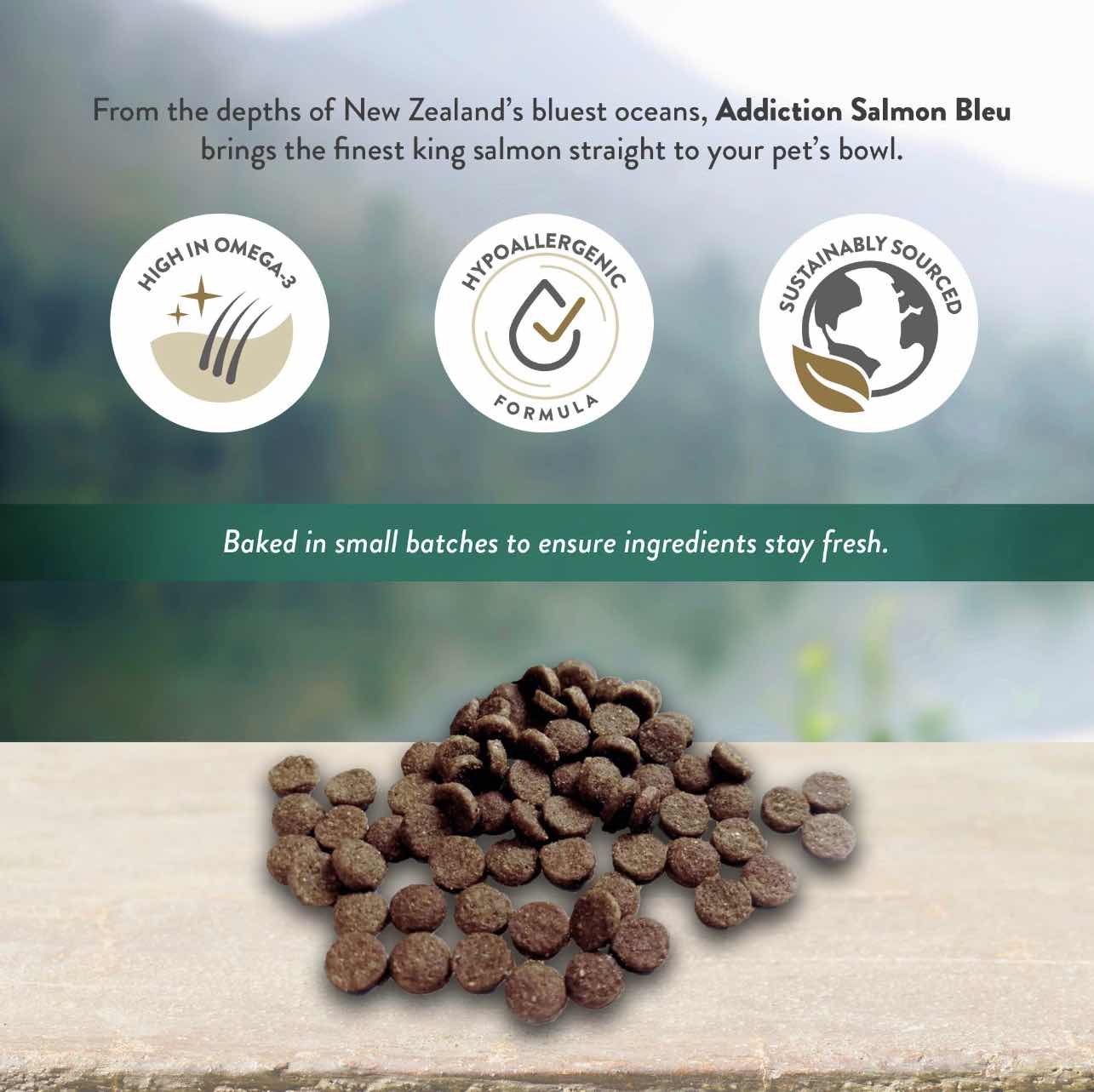 Addiction Salmon Bleu Grain-Free Dry Cat Food 4lb