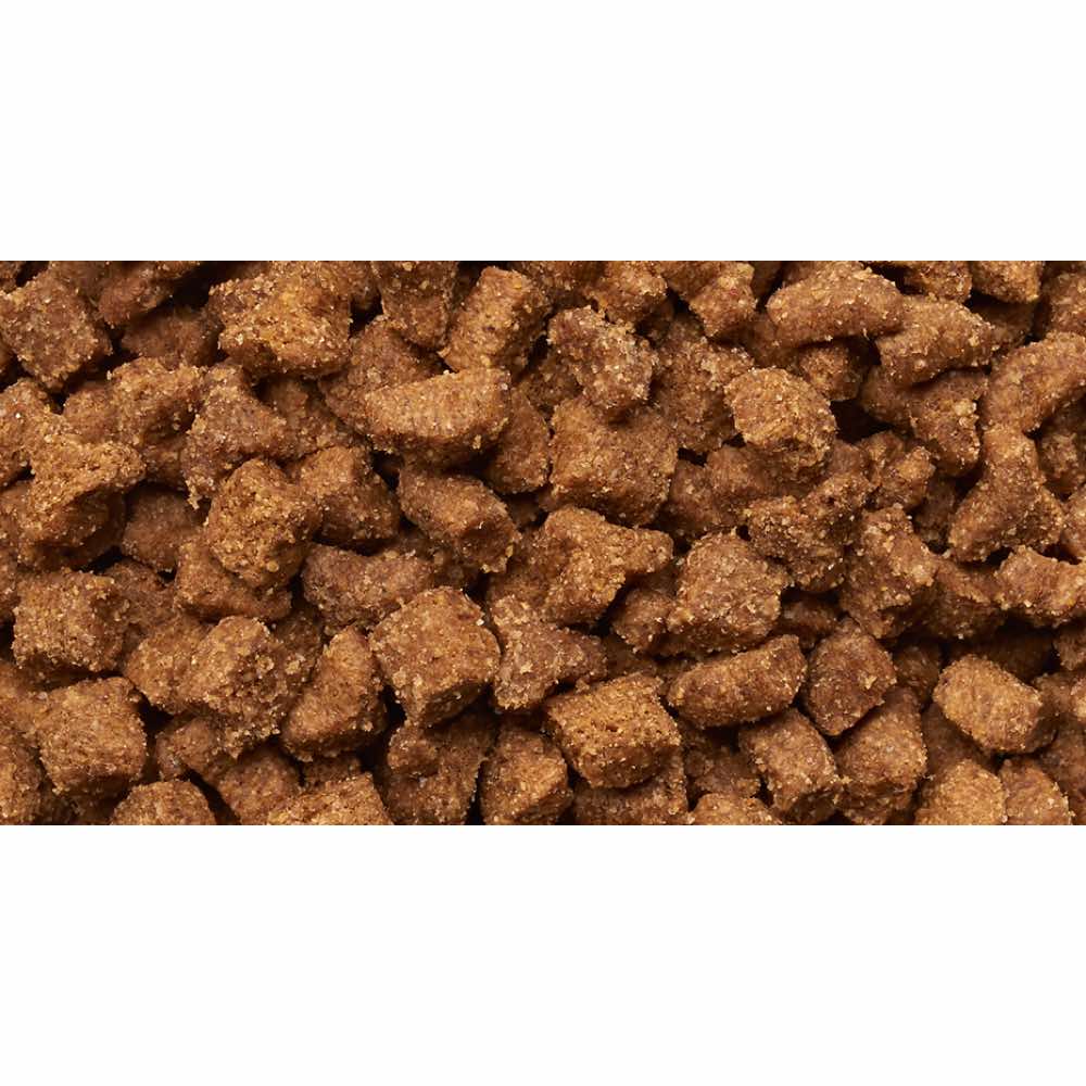 Iams ProActive Health Multi-Cat Households Dry Cat Food