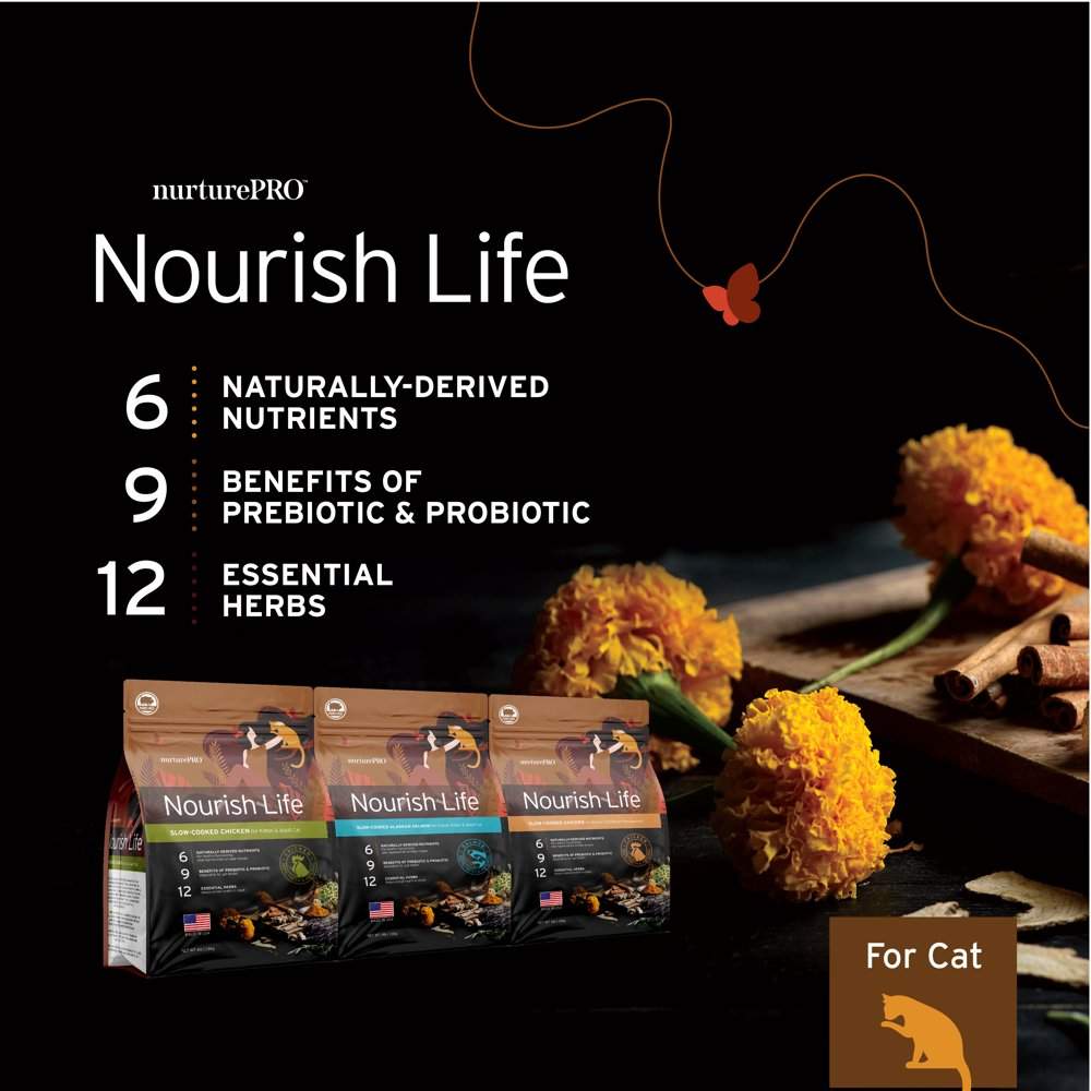 20% OFF: Nurture Pro Nourish Life Chicken Kitten & Adult Dry Cat Food