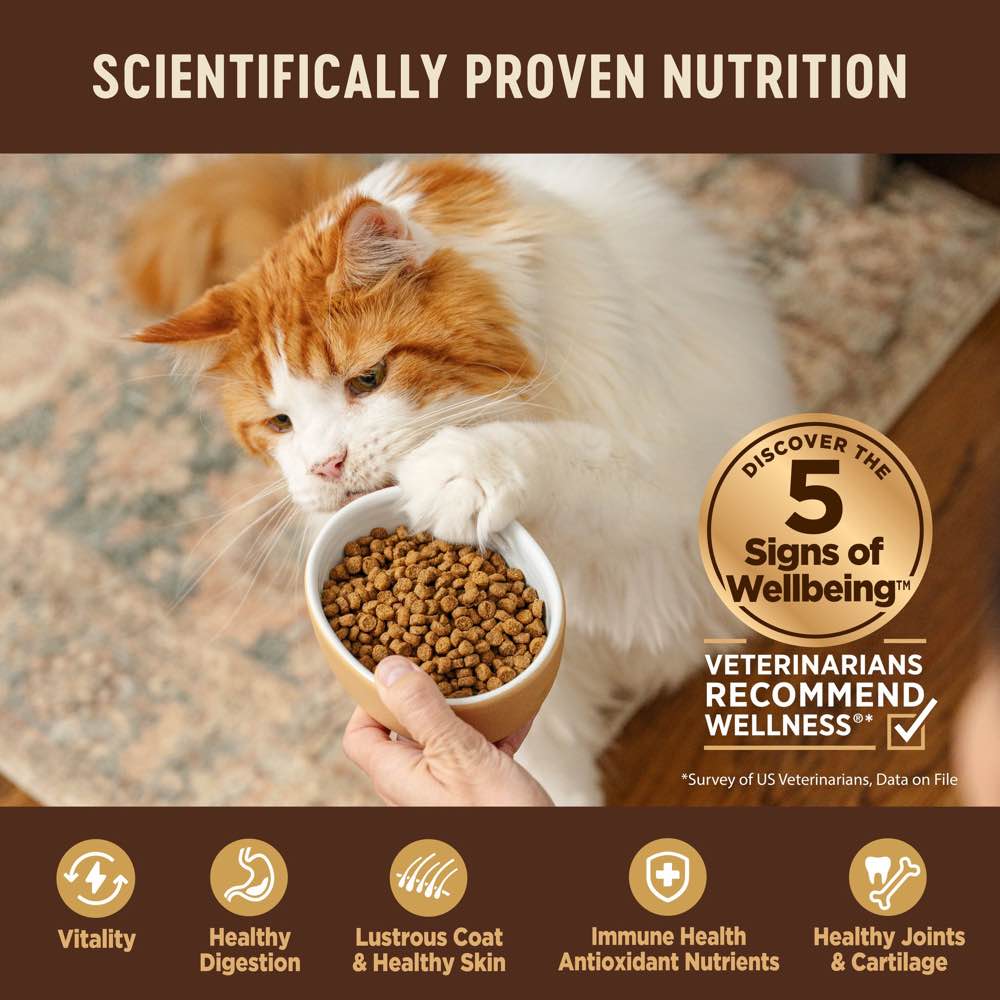 "'FREE TREATS': Wellness CORE Original Deboned Turkey, Turkey Meal & Chicken Meal Grain-Free Adult Dry Cat Food"