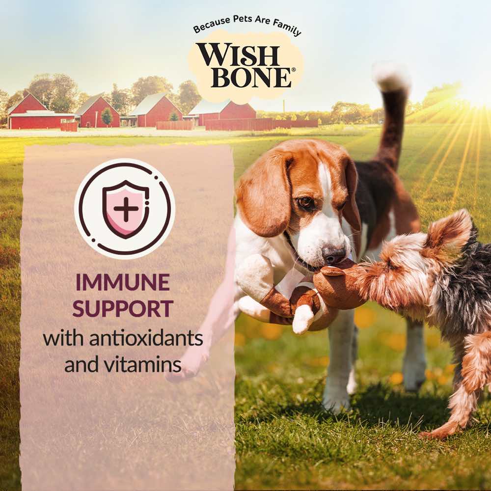 Wishbone Ocean New Zealand King Salmon Grain-Free Dry Dog Food