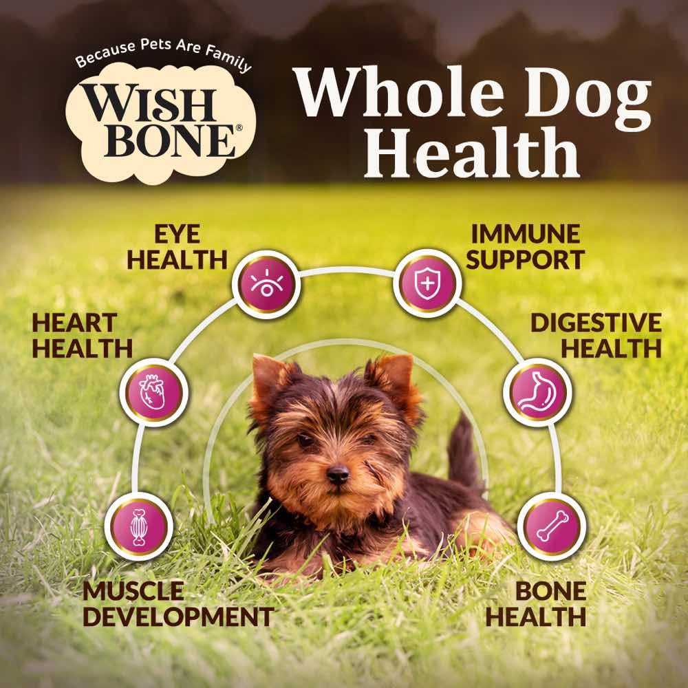Wishbone Ocean New Zealand King Salmon Grain-Free Dry Dog Food